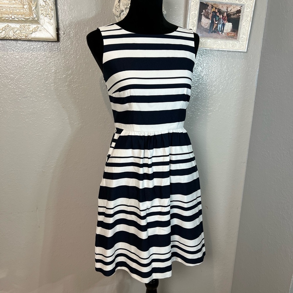 The Limited Navy and White Striped Sleeveless Fit-and-Flare Dress